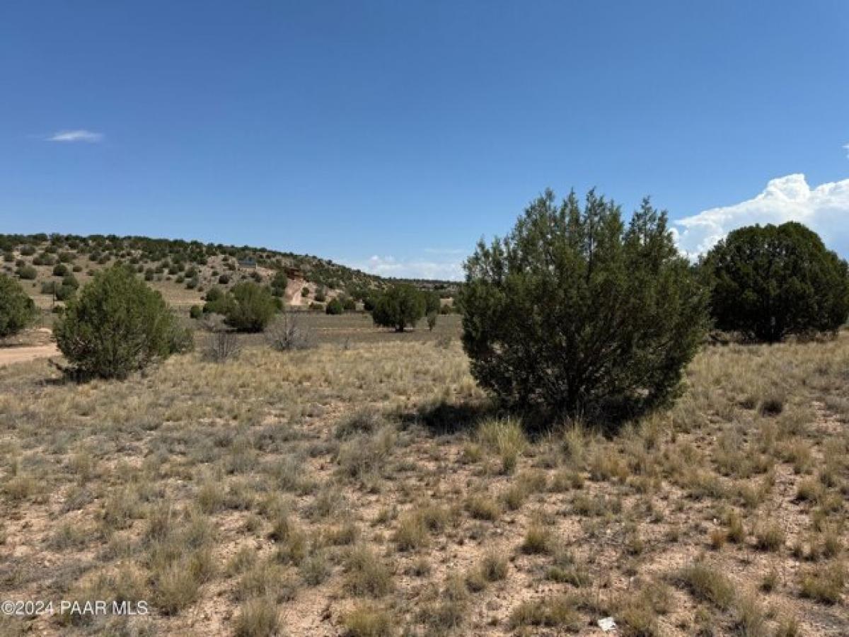 Picture of Residential Land For Sale in Paulden, Arizona, United States