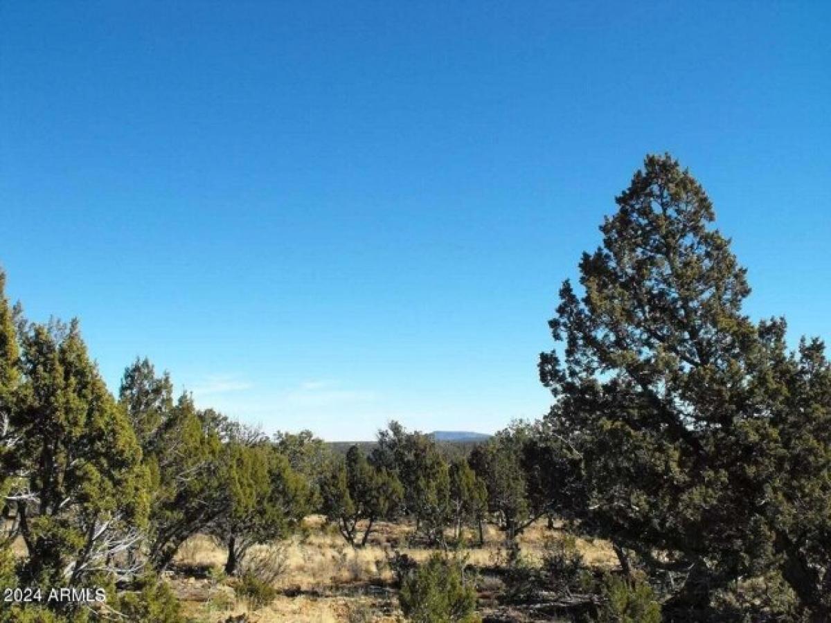 Picture of Residential Land For Sale in Happy Jack, Arizona, United States