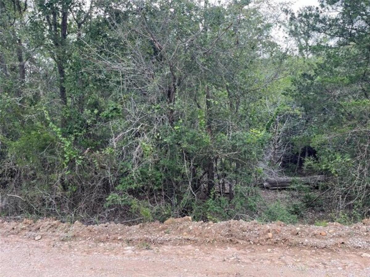 Picture of Residential Land For Sale in Bastrop, Texas, United States