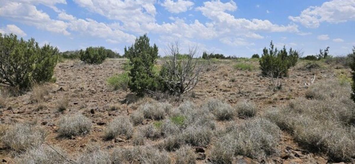 Picture of Residential Land For Sale in Alpine, Texas, United States