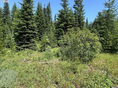 Residential Land For Sale in Weston, Oregon