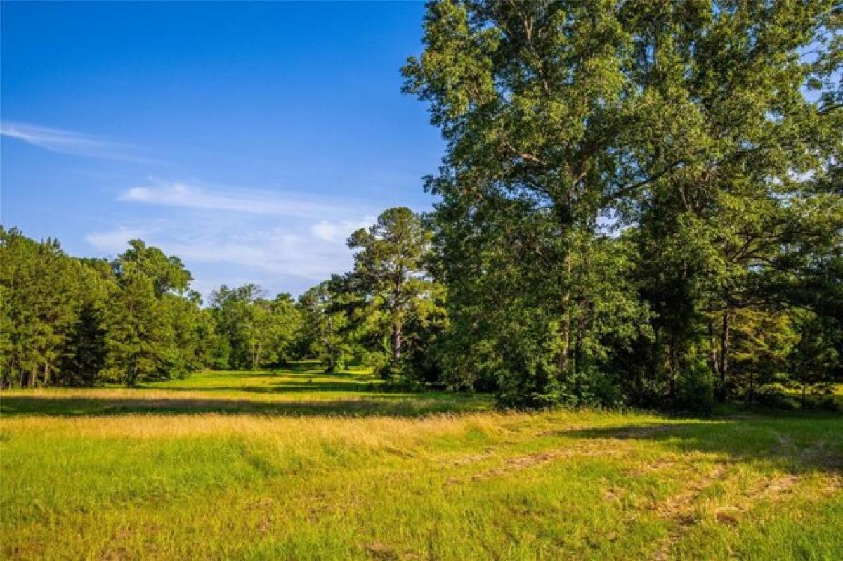 Picture of Residential Land For Sale in Kennard, Texas, United States