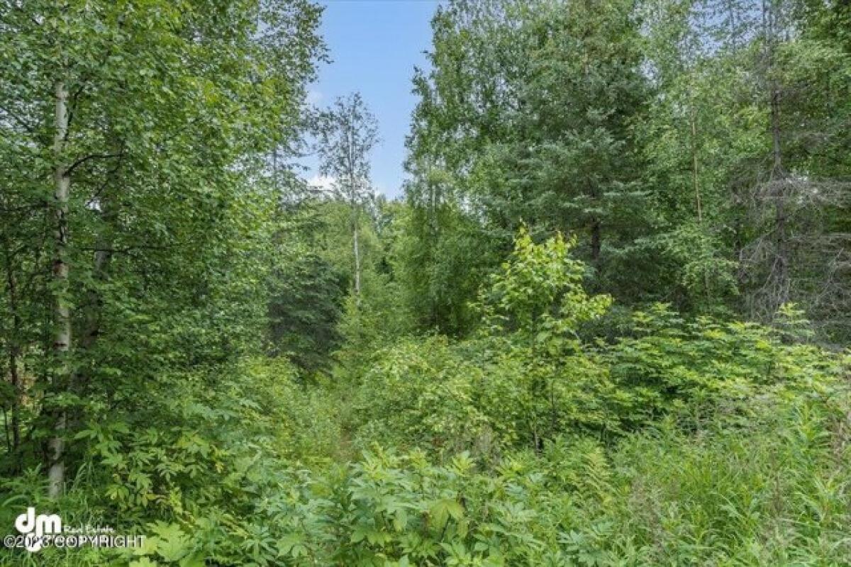 Picture of Residential Land For Sale in Talkeetna, Alaska, United States