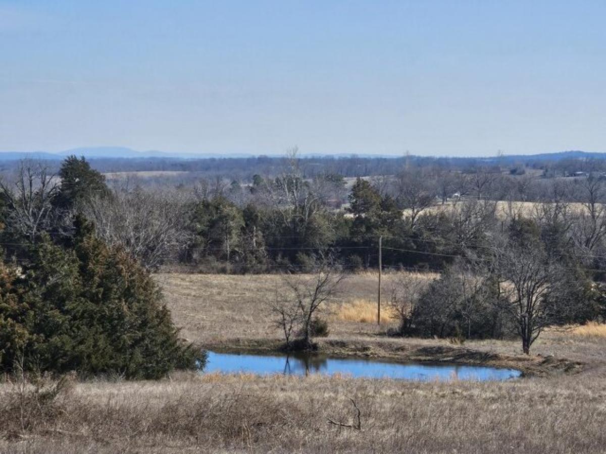 Picture of Residential Land For Sale in Theodosia, Missouri, United States