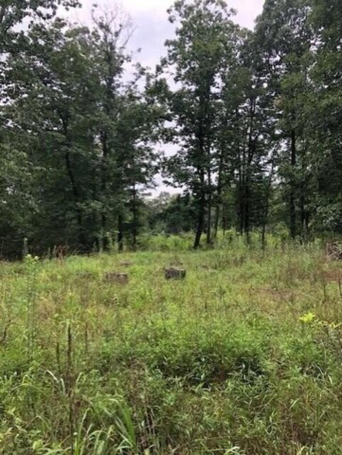 Picture of Residential Land For Sale in Signal Mountain, Tennessee, United States