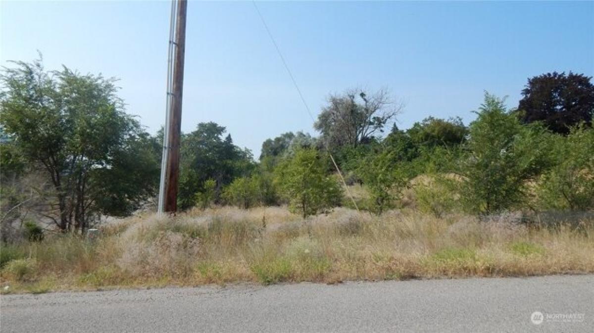 Picture of Residential Land For Sale in Oroville, Washington, United States