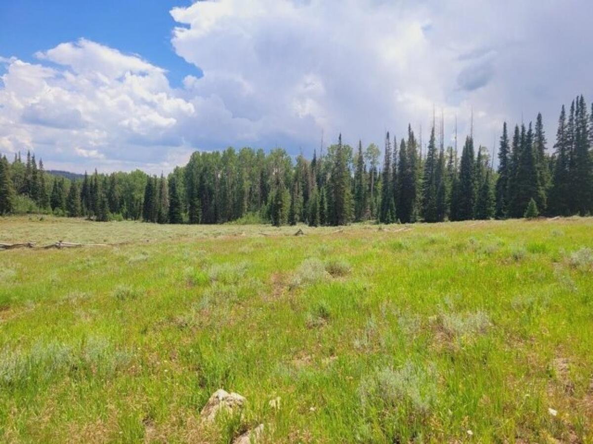 Picture of Residential Land For Sale in Brian Head, Utah, United States