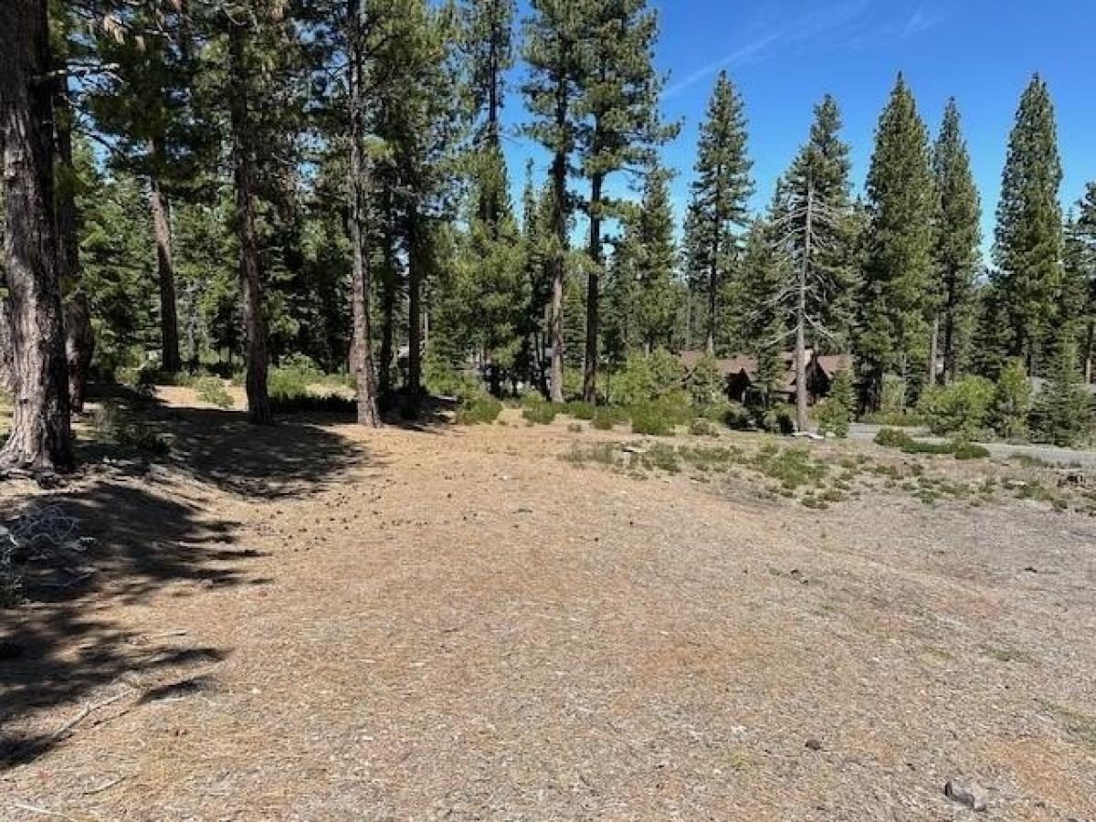 Picture of Residential Land For Sale in Truckee, California, United States