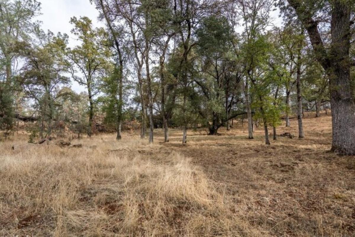 Picture of Residential Land For Sale in Auburn, California, United States