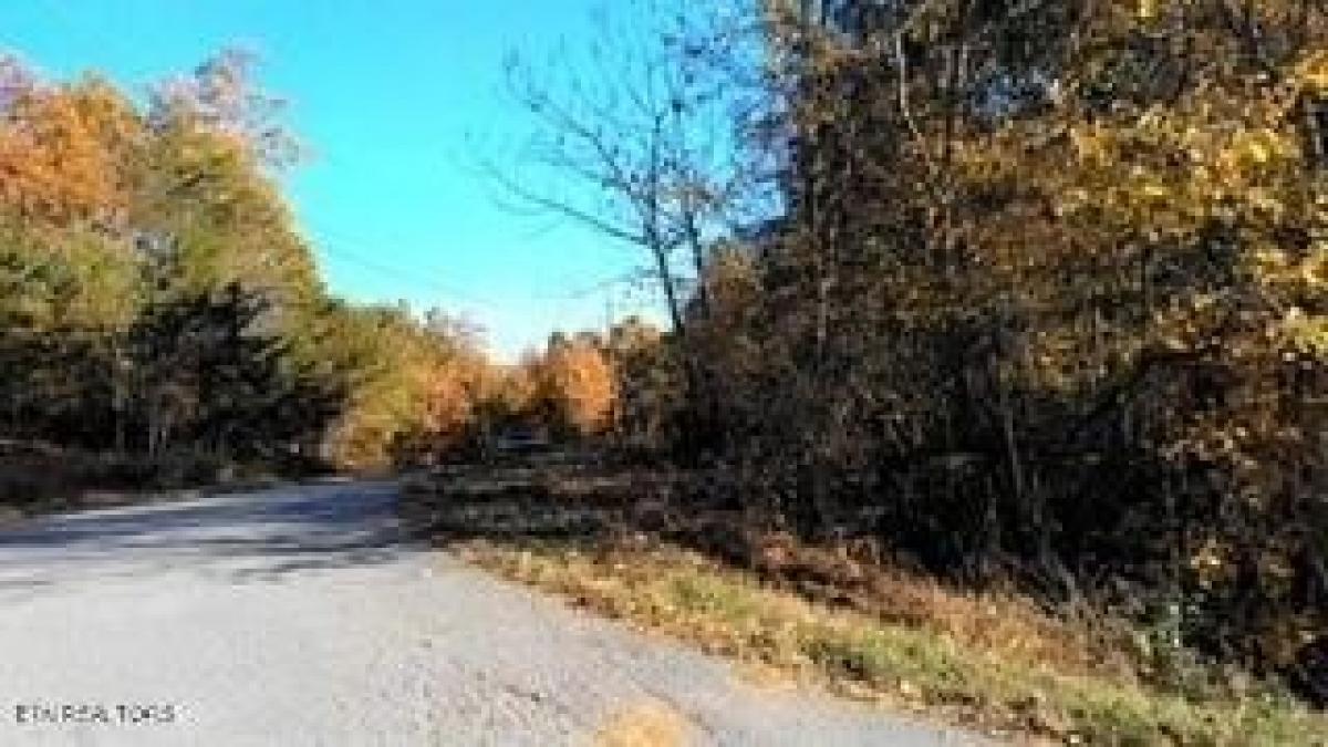 Picture of Residential Land For Sale in New Tazewell, Tennessee, United States