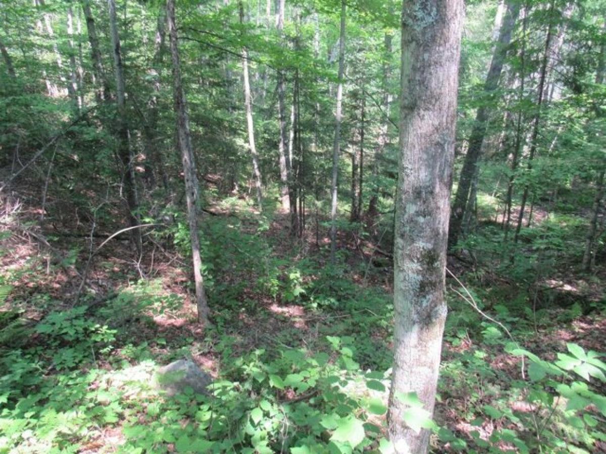 Picture of Residential Land For Sale in Mountain, Wisconsin, United States