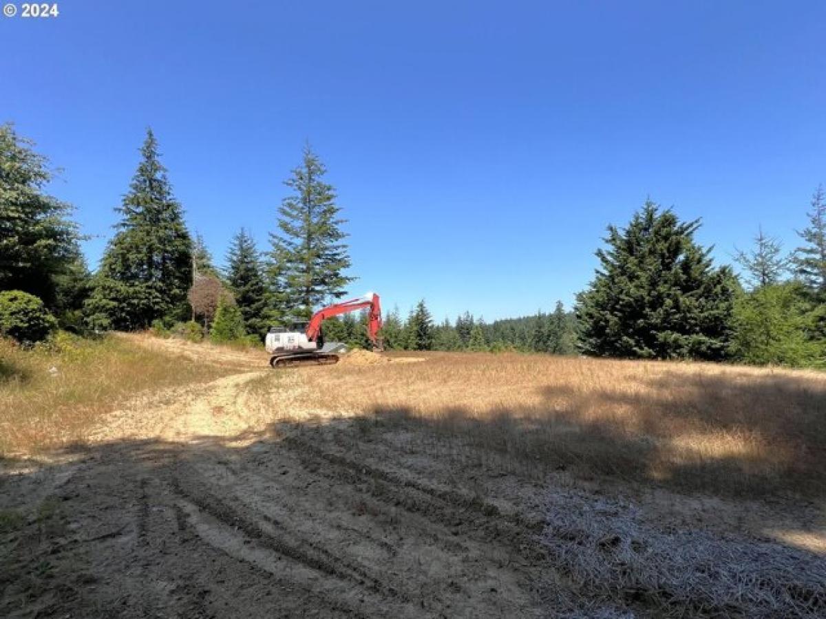 Picture of Residential Land For Sale in Coos Bay, Oregon, United States