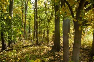 Residential Land For Sale in La Porte, Indiana