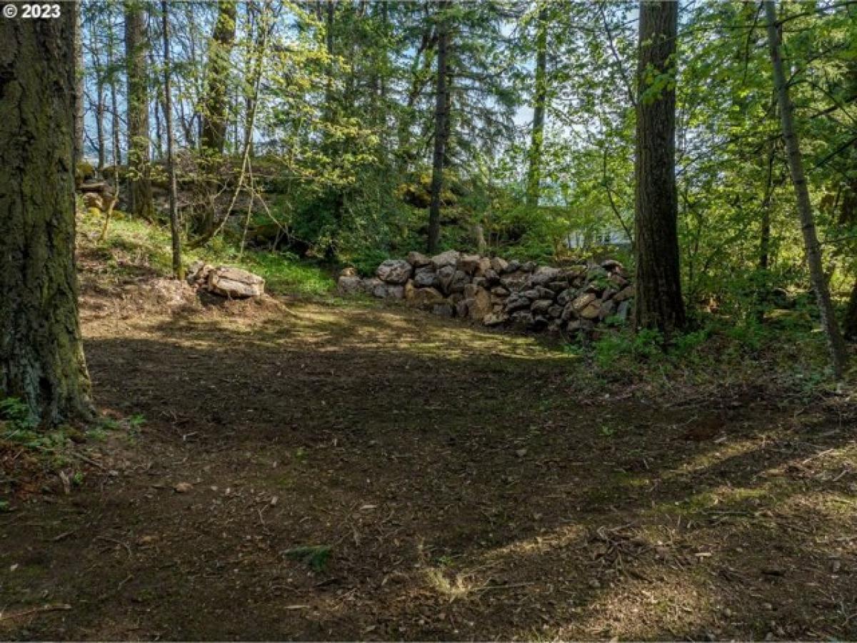 Picture of Residential Land For Sale in Hood River, Oregon, United States