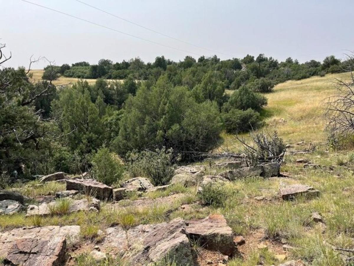 Picture of Residential Land For Sale in Colorado City, Colorado, United States