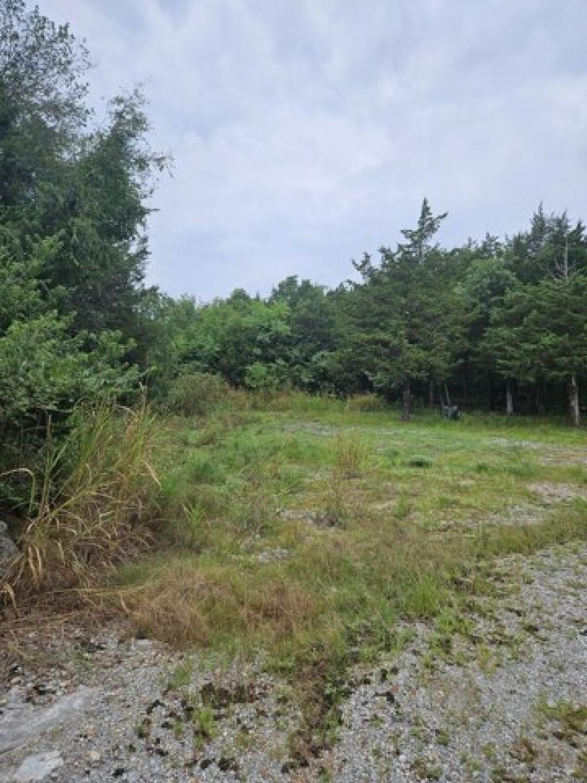 Picture of Residential Land For Sale in Mount Juliet, Tennessee, United States