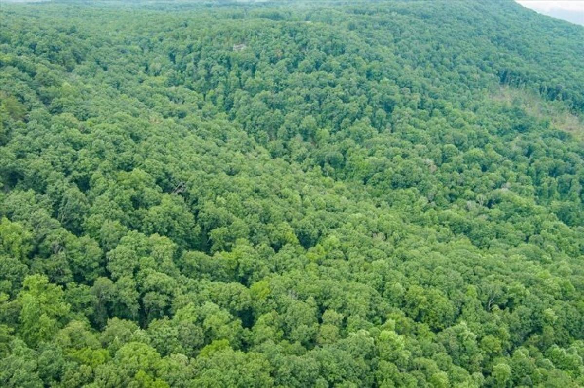 Picture of Residential Land For Sale in Pikeville, Tennessee, United States