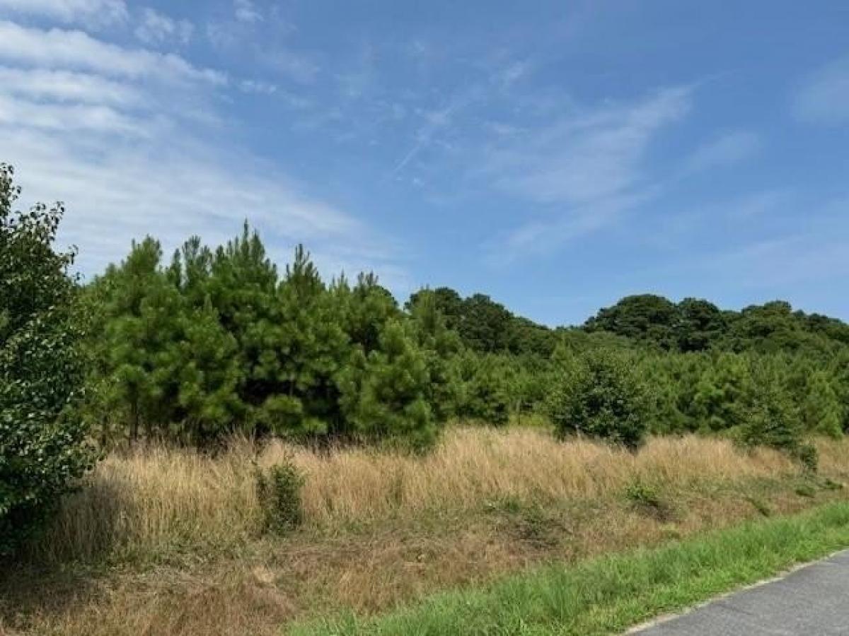 Picture of Residential Land For Sale in Parksley, Virginia, United States