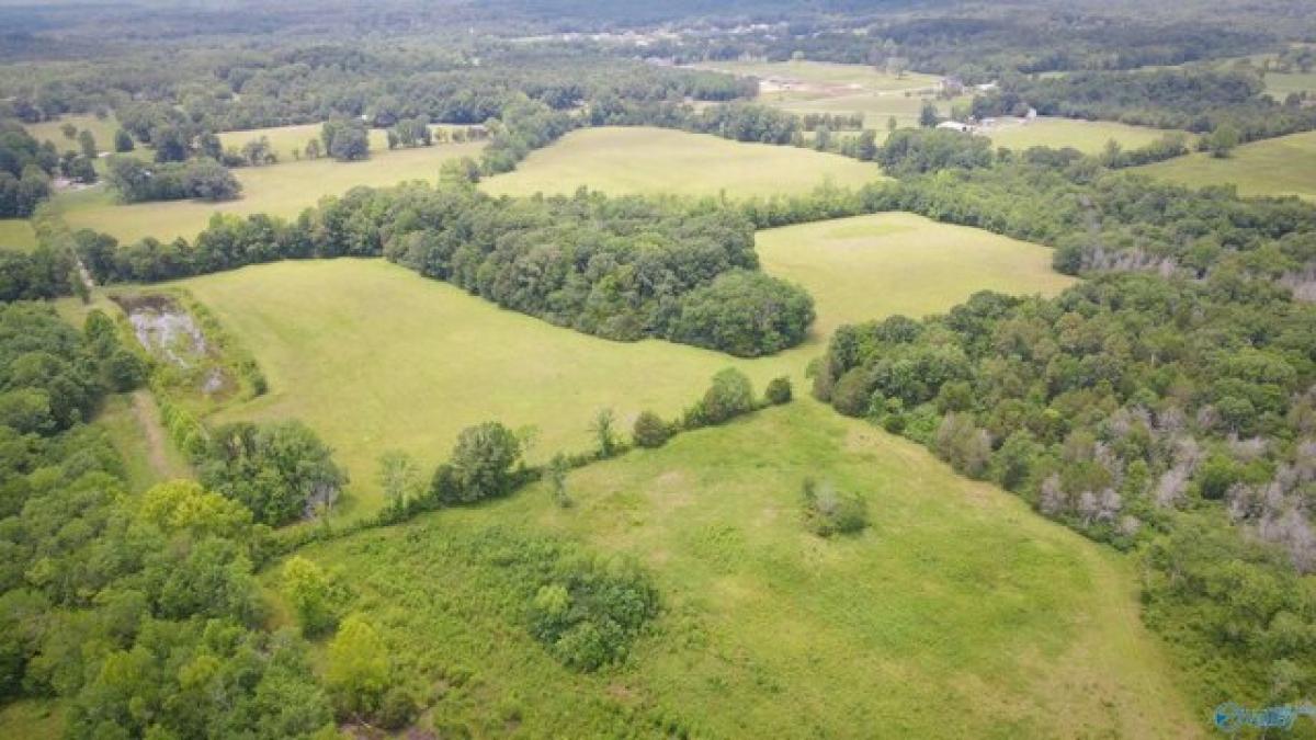 Picture of Residential Land For Sale in Decatur, Alabama, United States