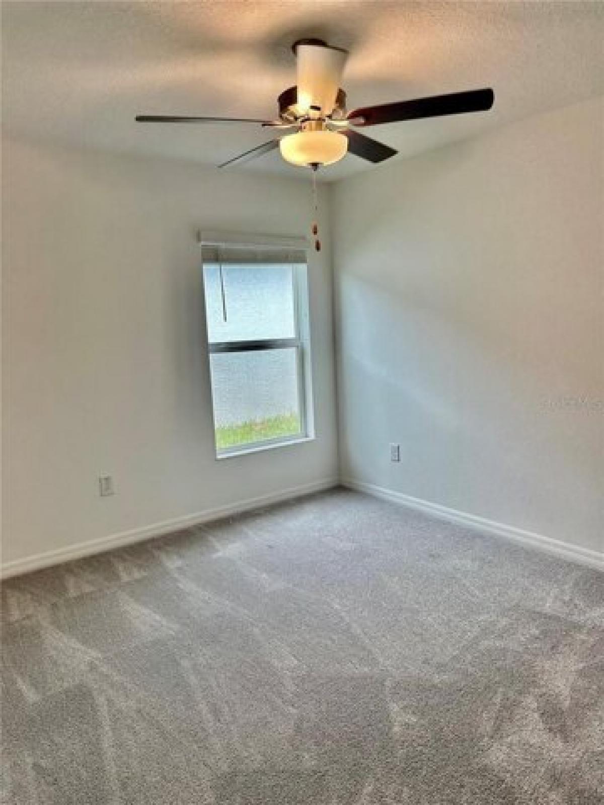 Picture of Home For Rent in Spring Hill, Florida, United States