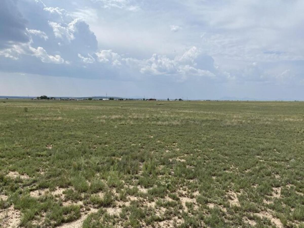 Picture of Residential Land For Sale in Moriarty, New Mexico, United States