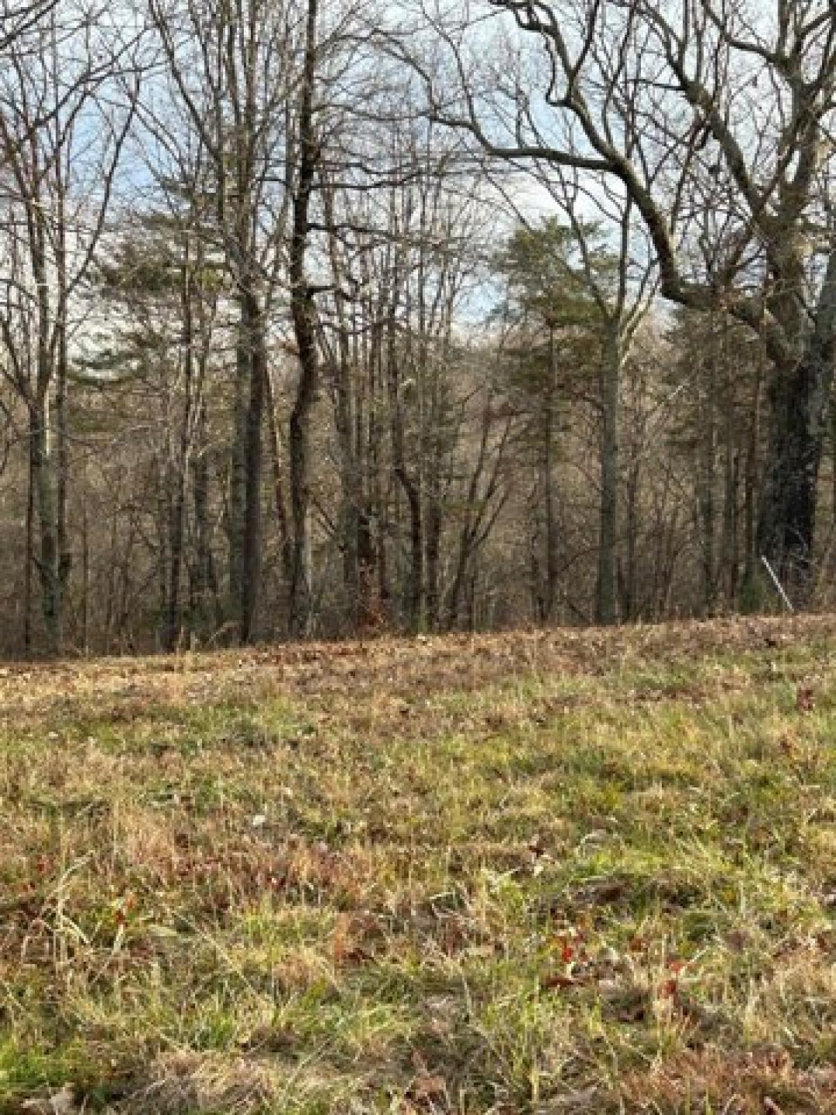 Picture of Residential Land For Sale in Waverly, Tennessee, United States