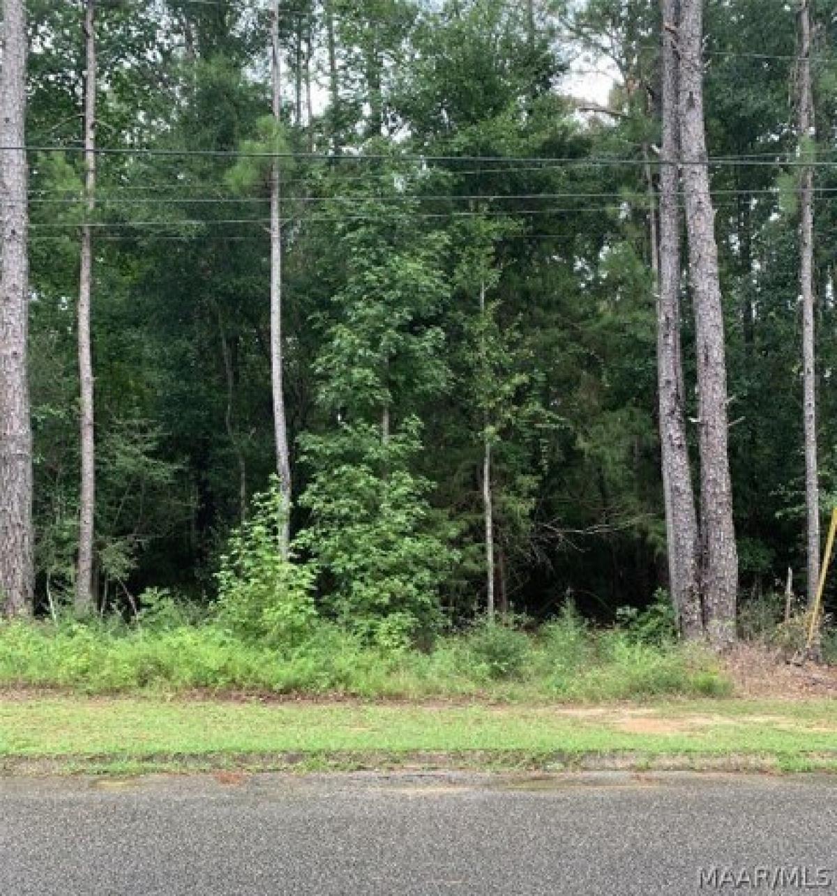 Picture of Residential Land For Sale in Elba, Alabama, United States