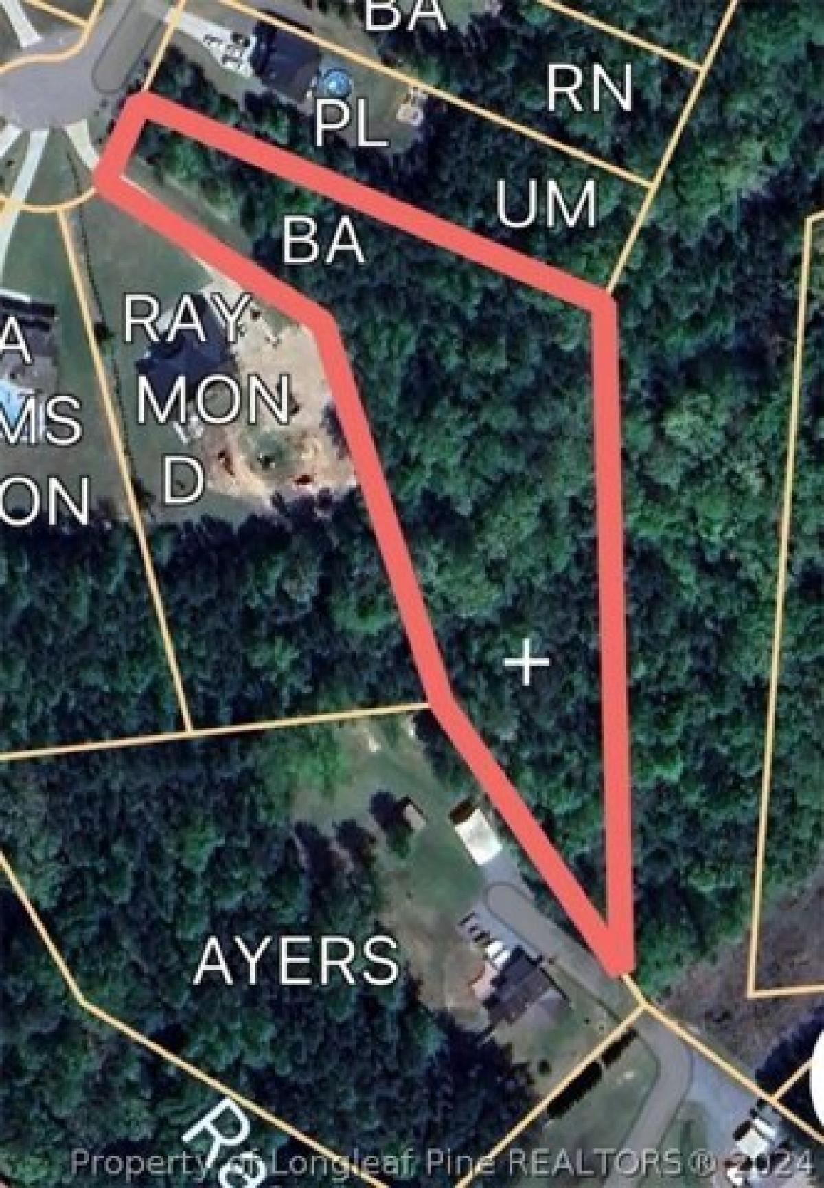 Picture of Residential Land For Sale in Sanford, North Carolina, United States