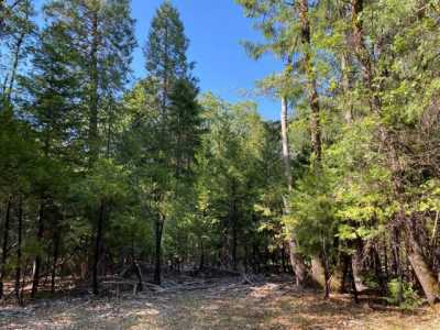 Residential Land For Sale in Grass Valley, California