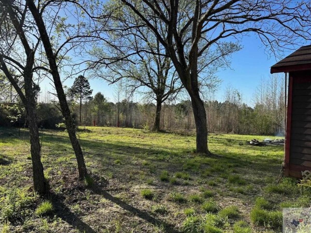 Picture of Residential Land For Sale in Bivins, Texas, United States