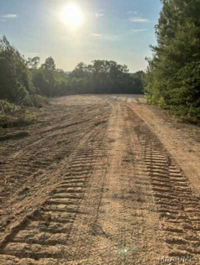 Residential Land For Sale in Haleyville, Alabama