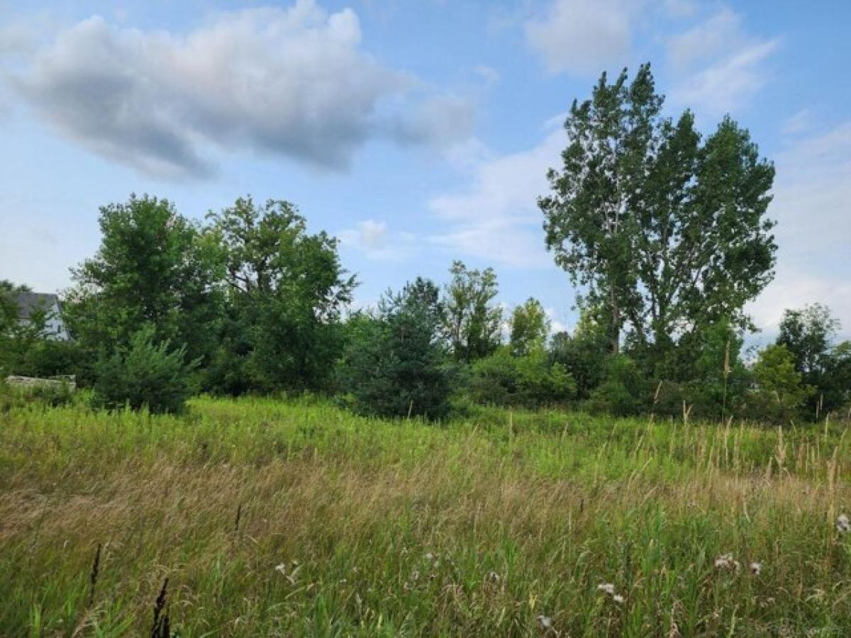 Picture of Residential Land For Sale in Armada, Michigan, United States