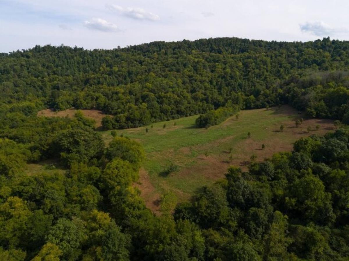 Picture of Residential Land For Sale in Hickman, Tennessee, United States