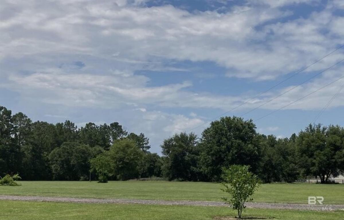 Picture of Residential Land For Sale in Bay Minette, Alabama, United States