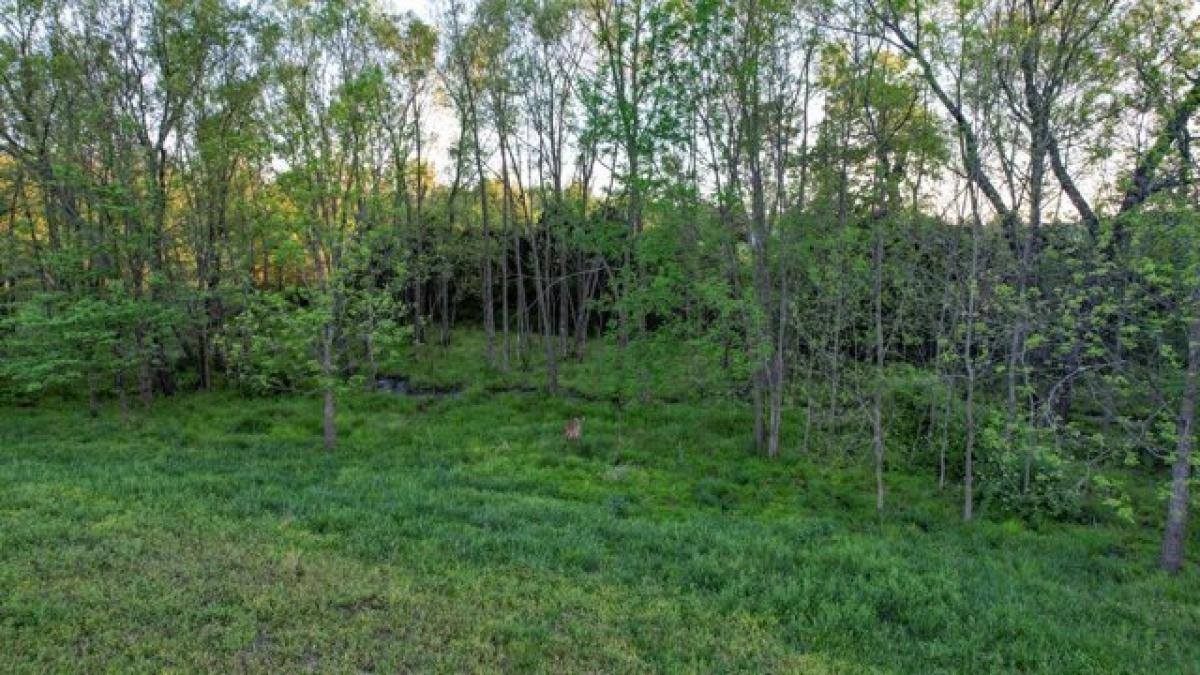 Picture of Residential Land For Sale in Tahlequah, Oklahoma, United States