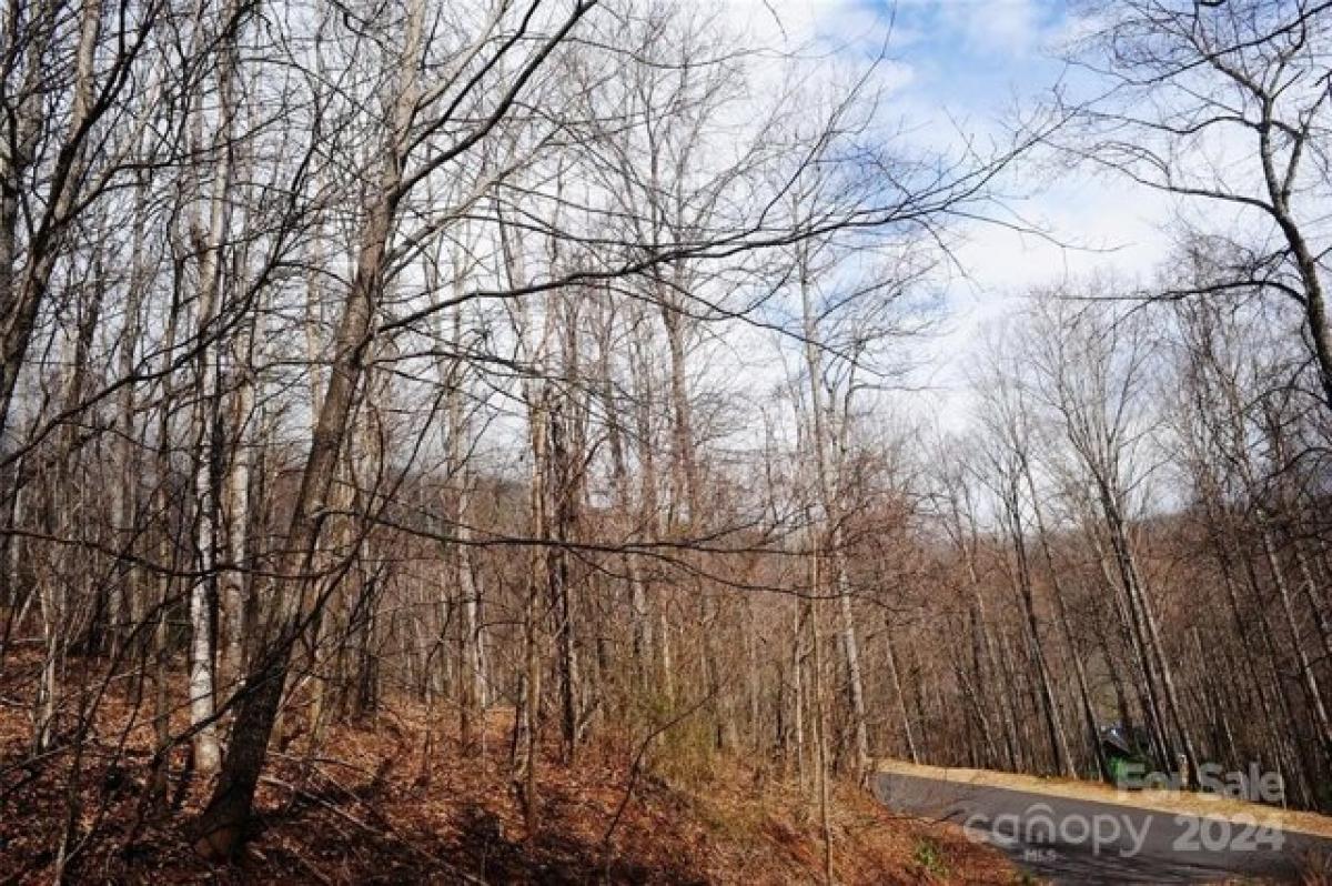 Picture of Residential Land For Sale in Black Mountain, North Carolina, United States