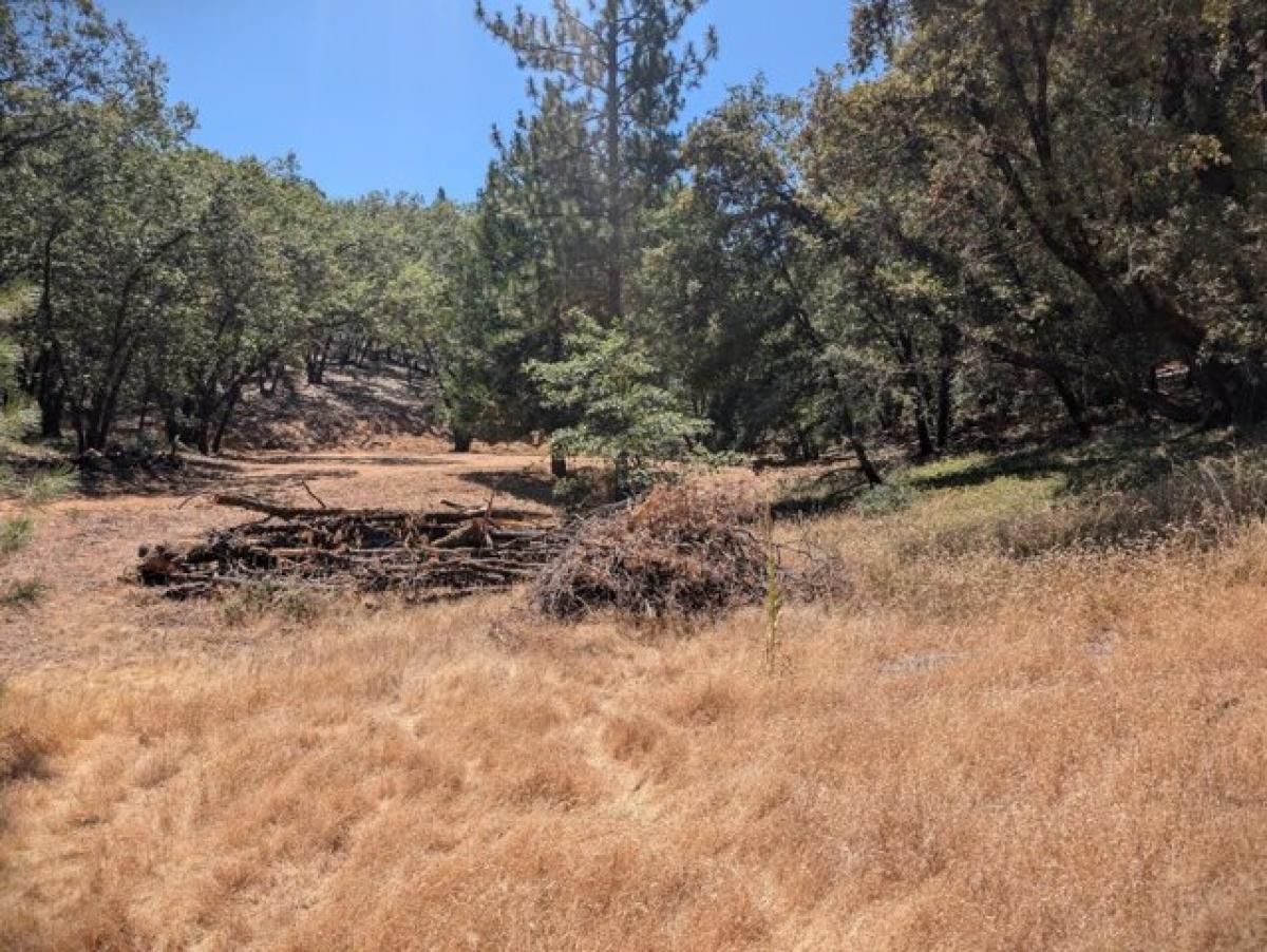 Picture of Residential Land For Sale in Colfax, California, United States