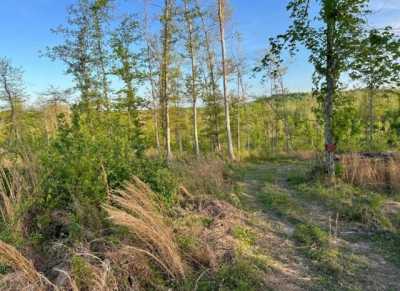 Residential Land For Sale in Dawson Springs, Kentucky