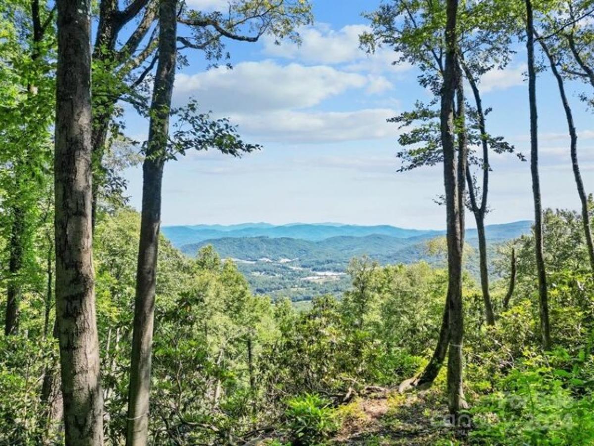 Picture of Residential Land For Sale in Fletcher, North Carolina, United States