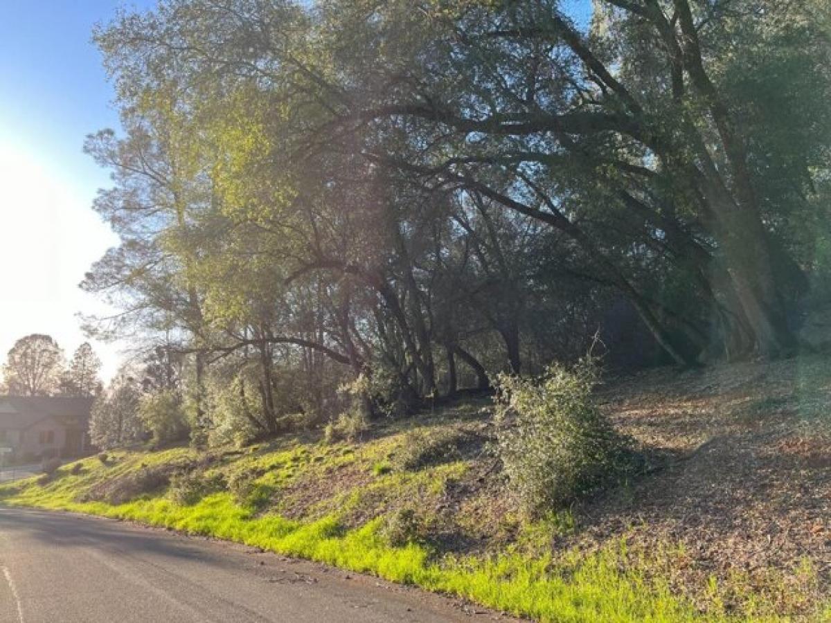 Picture of Residential Land For Sale in Auburn, California, United States