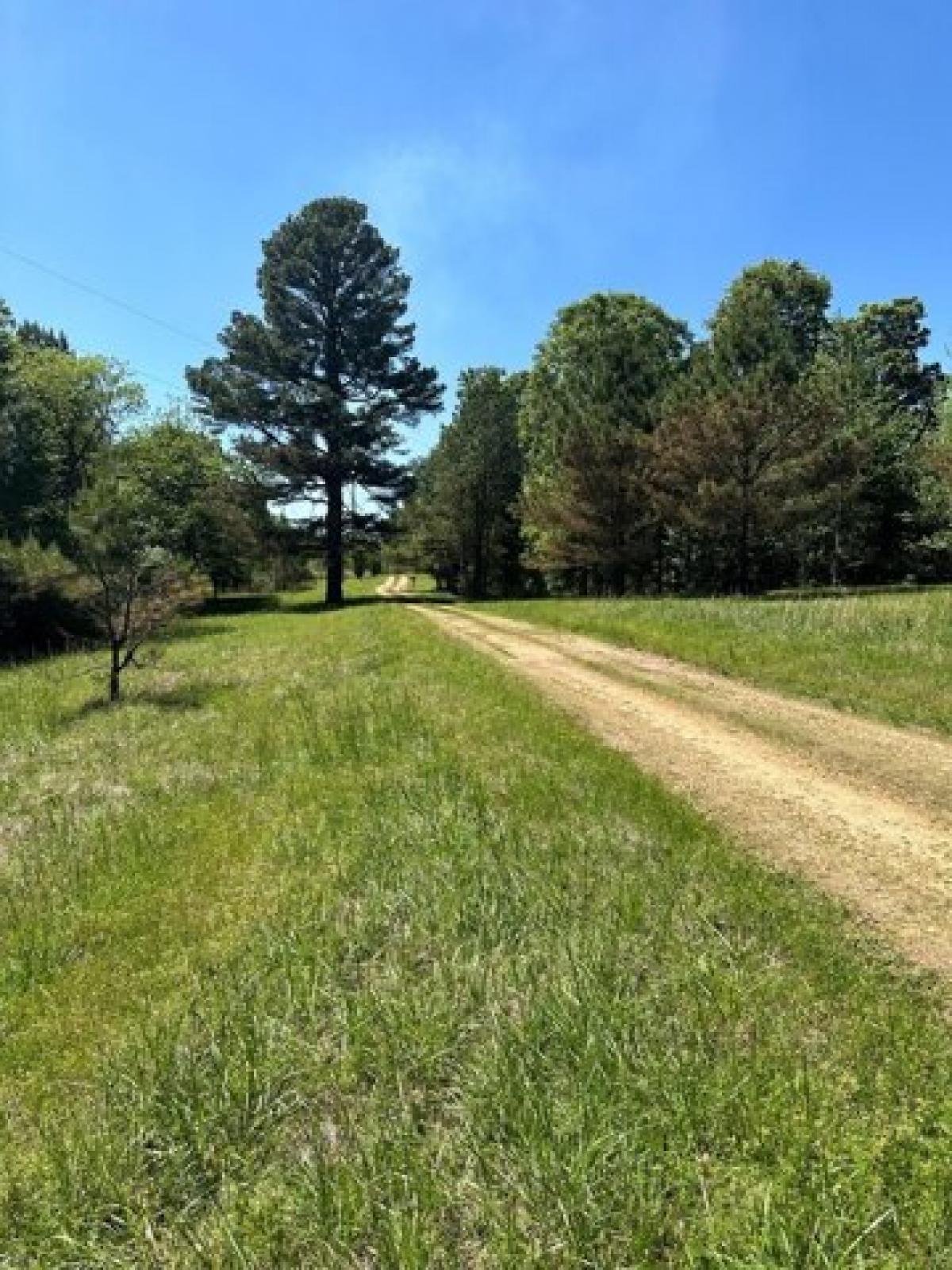 Picture of Home For Sale in Tillatoba, Mississippi, United States