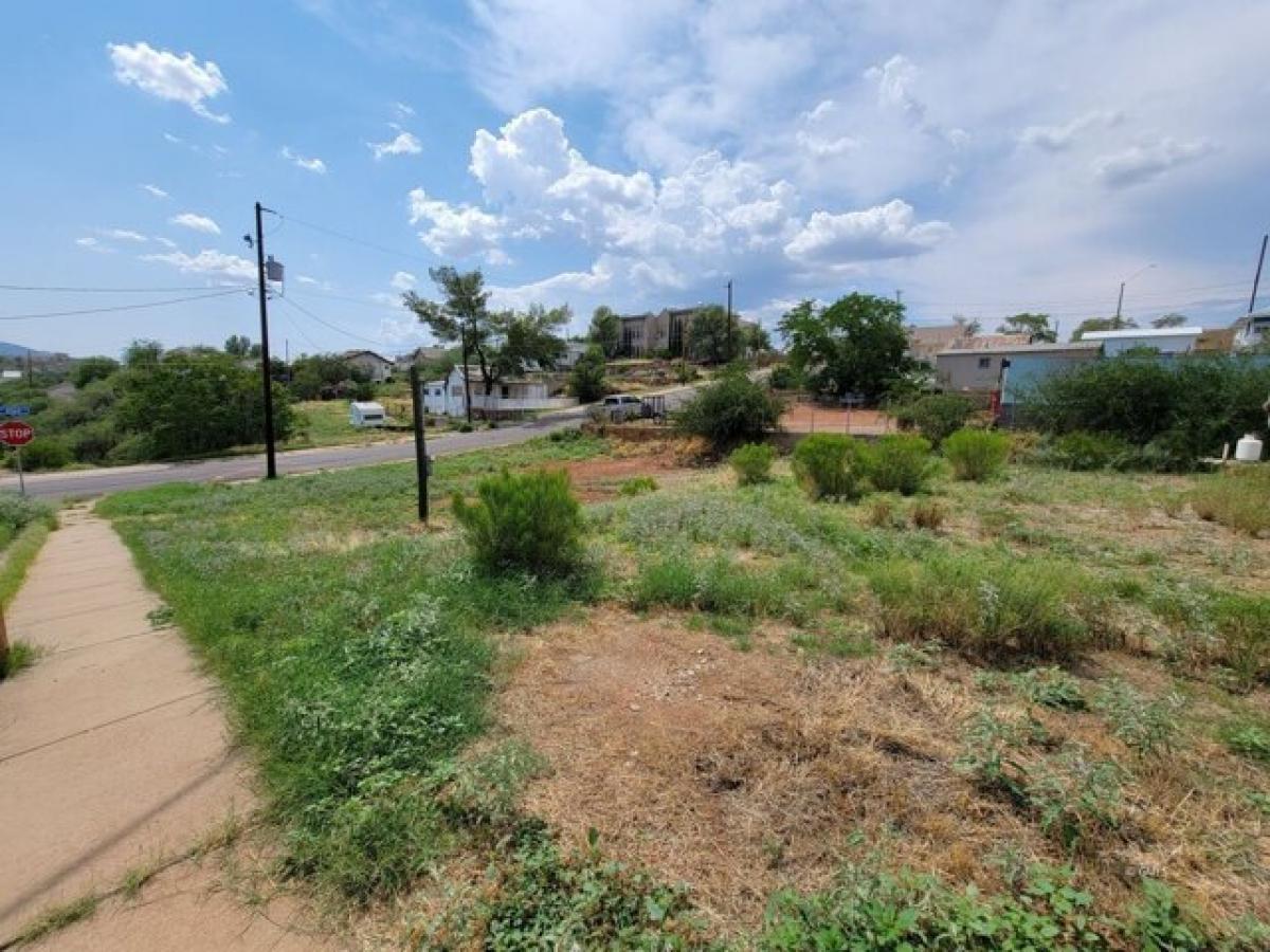 Picture of Residential Land For Sale in Globe, Arizona, United States