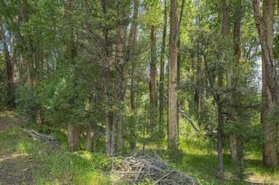 Residential Land For Sale in Salida, Colorado