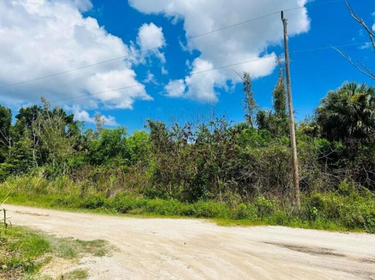 Picture of Residential Land For Sale in Bokeelia, Florida, United States