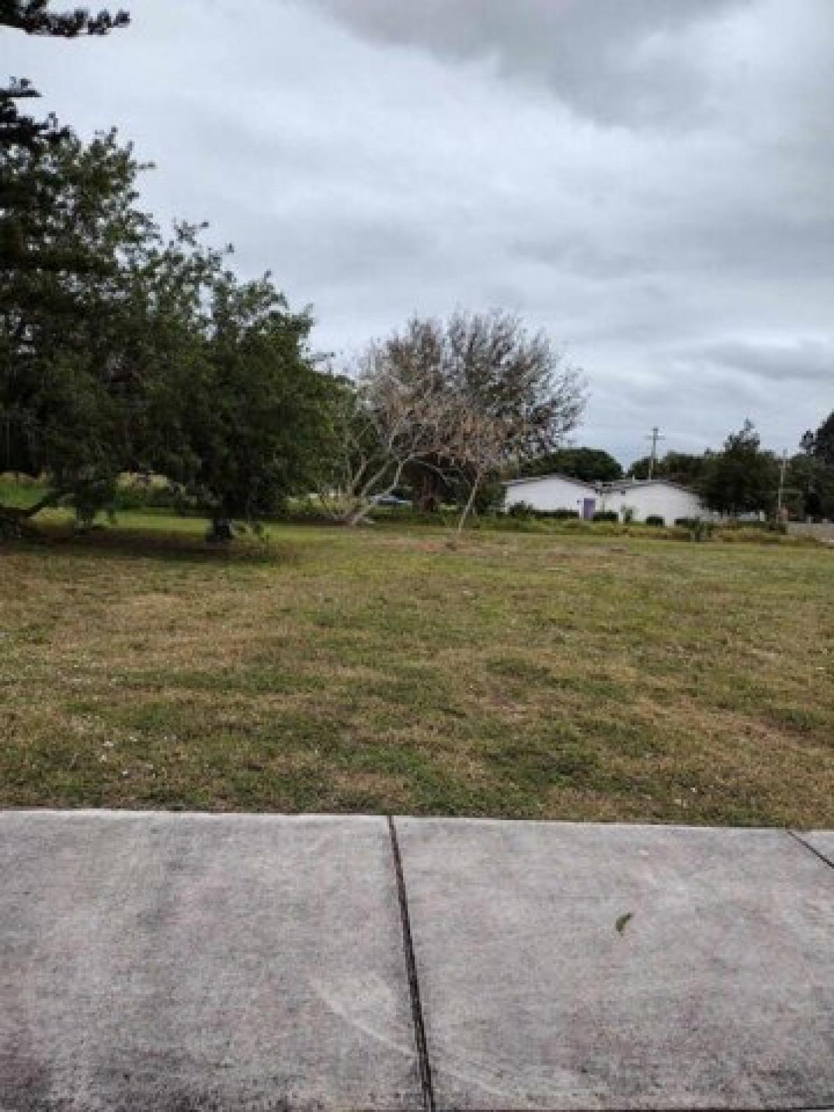 Picture of Residential Land For Sale in Fort Pierce, Florida, United States