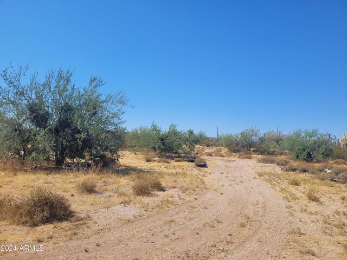 Picture of Residential Land For Sale in Florence, Arizona, United States