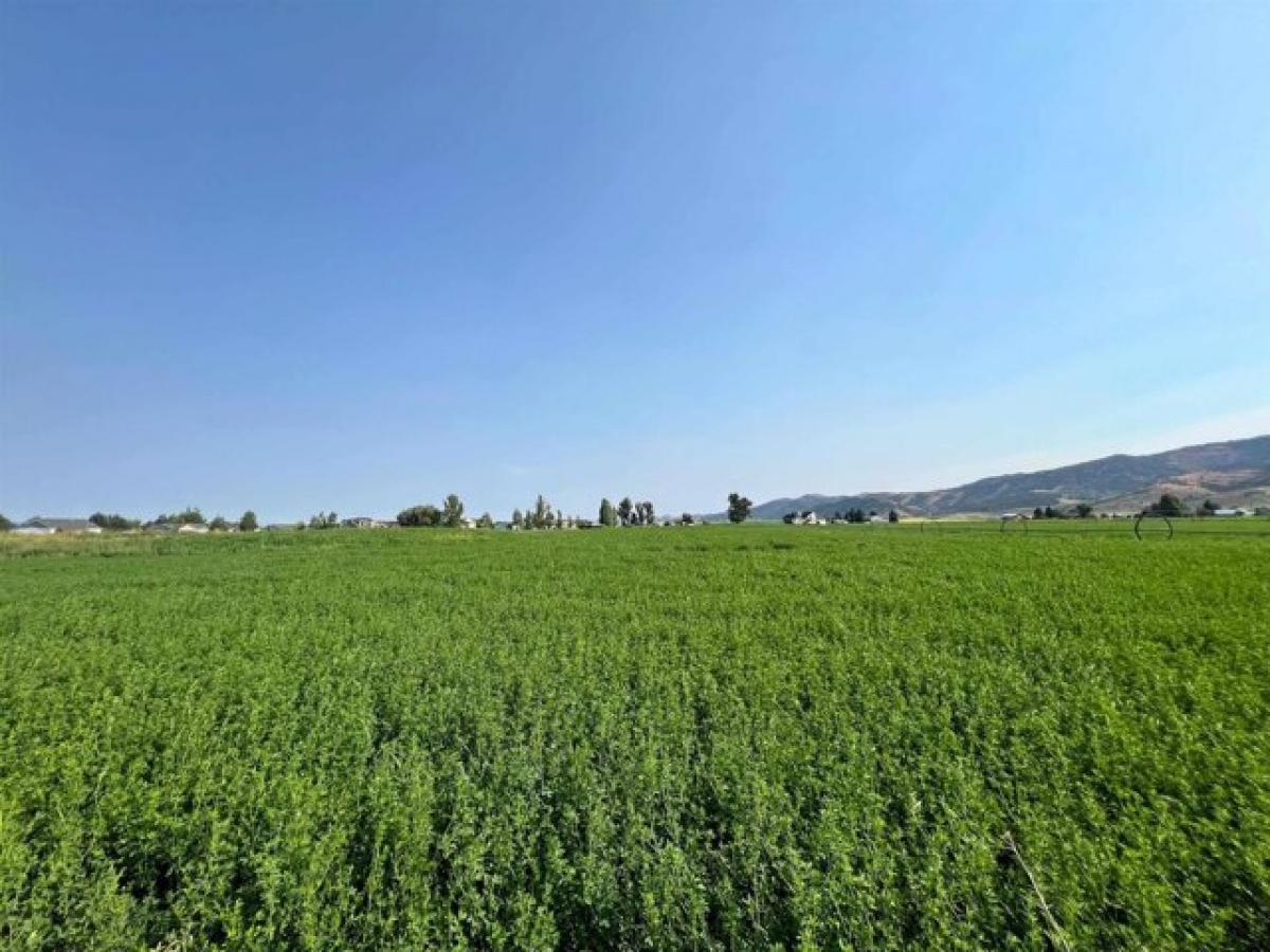 Picture of Residential Land For Sale in Grace, Idaho, United States