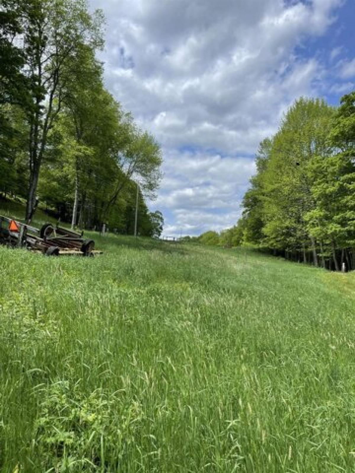 Picture of Home For Sale in Woodstock, Vermont, United States