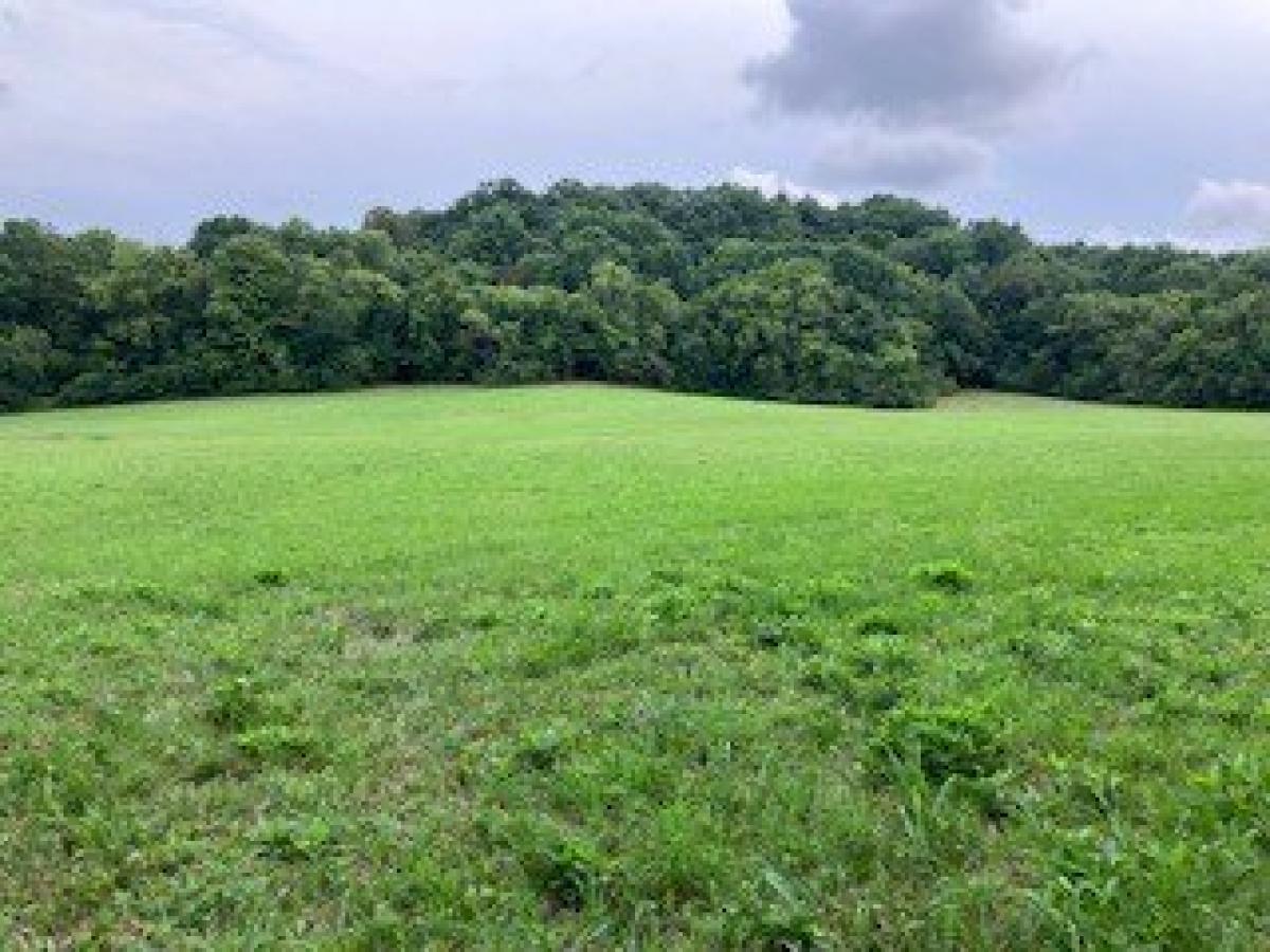 Picture of Residential Land For Sale in Franklin, Tennessee, United States