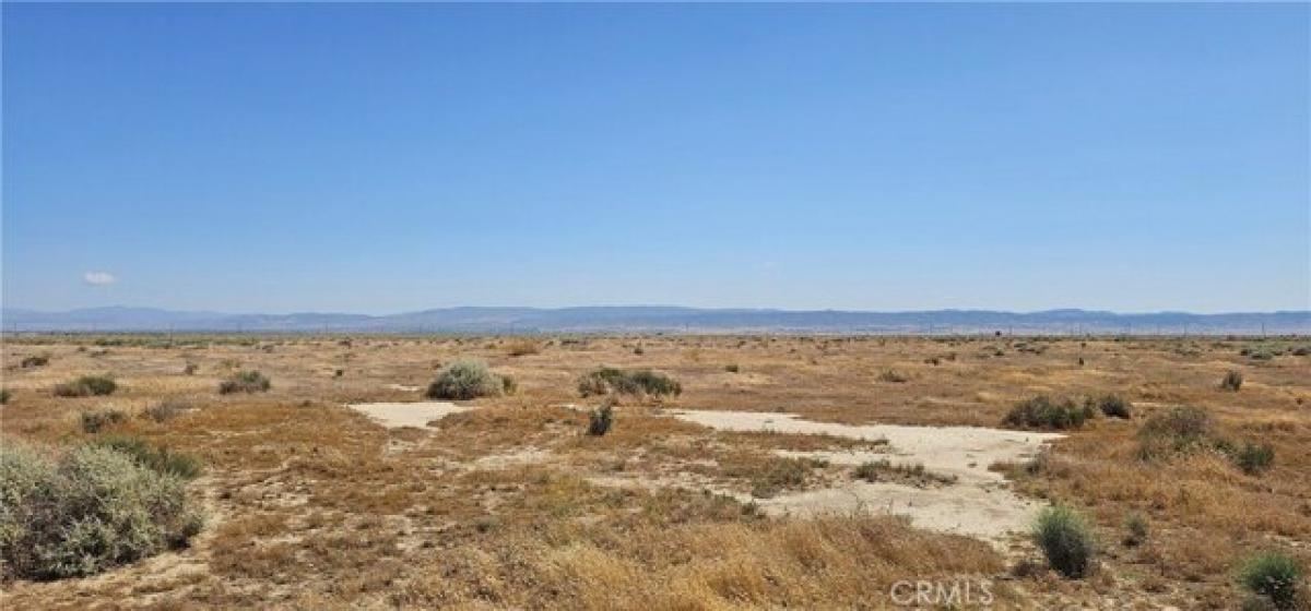 Picture of Residential Land For Sale in Mojave, California, United States